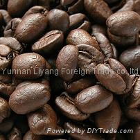 Arabica coffee beans