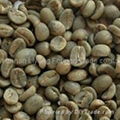 Arabica green coffee beans from coffee manufacturer 1