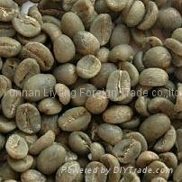 Arabica green coffee beans from coffee manufacturer