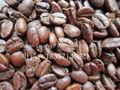 Arabica coffee beans 2