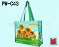 PP woven shopping bag