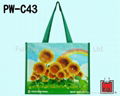 PP woven shopping bag