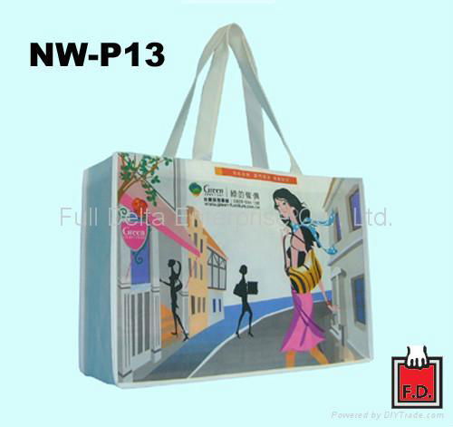 Non-woven Bag / ECO Bags 2