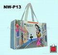 Non-woven Bag / ECO Bags