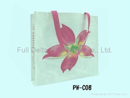PP Woven Bag / ECO Bag / Shopping bag 5