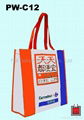 PP Woven Shopping Bag