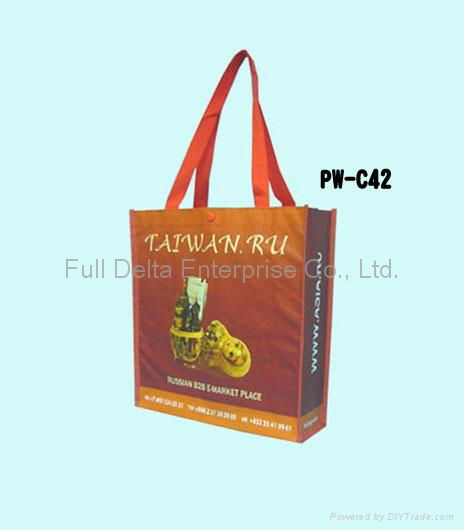 PP Woven Shopping Bag