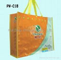 PE / PP Woven Bag - Shopping bag