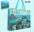 PE / PP Woven Bag- shopping bag