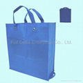 Foldable non woven Bag