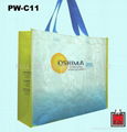 PP Woven Shopping Bag