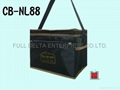 Nylon cooler bag