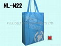 Nylon foldable bag