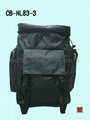 Nylon Trolley bag / Nylon cooler bag 4