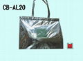 Thermal & Cooler Bag for food