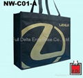 PP non woven shopping Bag