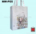 Non-woven Bag / ECO Bags