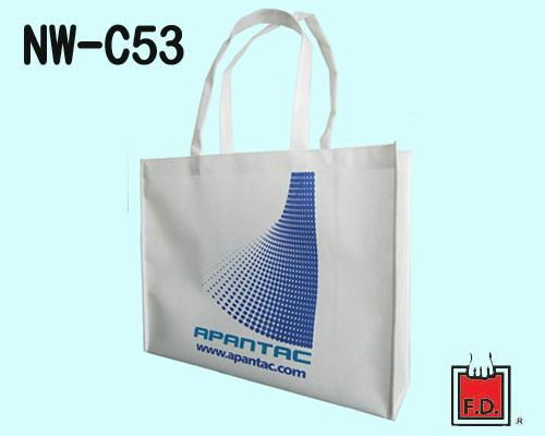 PP non woven shopping Bag 3