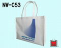 立體型不織布環保購物袋 ( 汽車業者 )