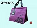 Non-woven cooler Bags for food