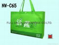 立體型不織布環保購物袋 (保險人壽業者)