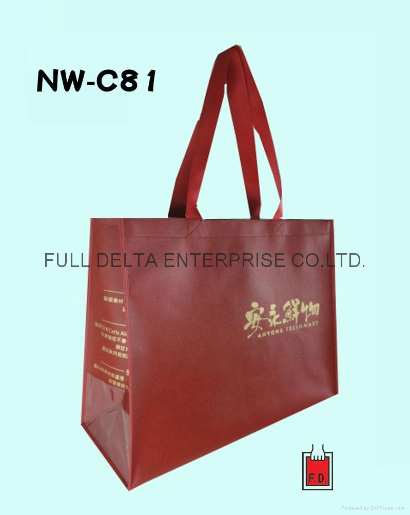 Non woven gift bag / shopping bag