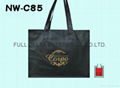 Non woven Shopping Bag