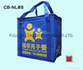 Nylon cooler Bags