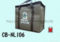 Nylon thermo bag / Cooler bag for food