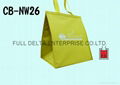 Non-woven cooler bag / food cooler bag 1