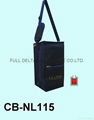 Wine Bags / Chiller Bags 1