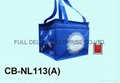 Nylon Thermal Bag / coole bag / insulated bag