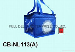 Nylon Thermal Bag / coole bag / insulated bag