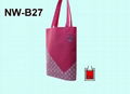 Non woven Shopping Bag 1