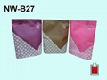 Non woven Shopping Bag