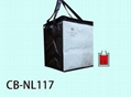 Nylon Thermal Bag / coole bag / insulated bag 2