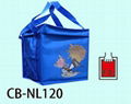 Nylon Thermal Bag / coole bag / insulated bag