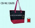 Nylon Thermal Bag / coole bag / insulated bag 2