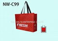 Non woven Shopping Bag