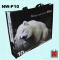 OPP non-woven bag for bedquilt