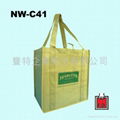 Non woven Shopping Bag