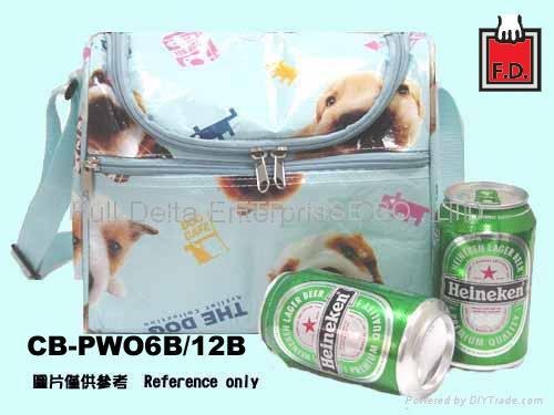 PP woven bag - Cooler Bag for 6,12 cans