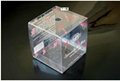 PVC\PET\PP透明胶盒未来包装盒发展方向及胶盒包装市场发展目标分析