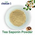 Oragnic Tea Saponin Powder 60% 1