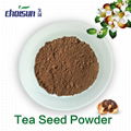 Tea Seed Powder (15%) 1