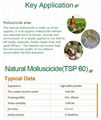 Bio insecticide for rice crop/Camellia seeds extractionTea Saponin/Molluscicide  3