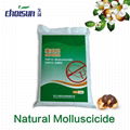 Bio insecticide for rice crop/Camellia seeds extractionTea Saponin/Molluscicide 