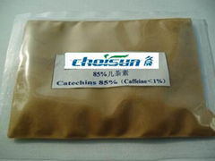 Catechins 85%