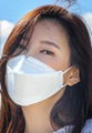   MASK KN95 -F F P 2  FITTER HALF Face Mask