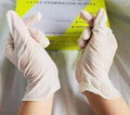 surgical latex  gloves   medical examination  rubber latex   gloves 